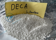 Αναβολικές στεροειδείς σκόνες Durabolin Nandrolone Decanoate DECA για Bodybuilding CAS 360-70-3