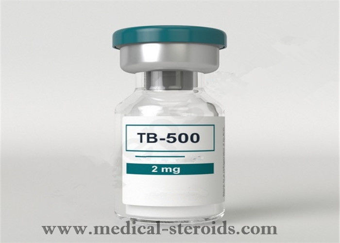 Στεροειδής TB500 ορμονών αύξησης CAS 77591-33-4 ανθρώπινη σκόνη πεπτιδίων για το κέρδος μυών